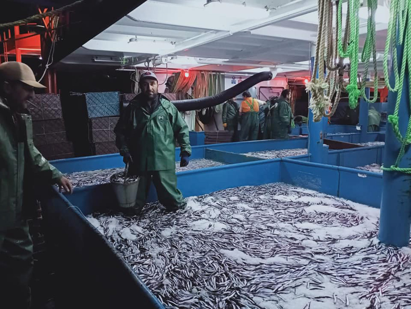 HAMSİ AVI BALIKÇININ YÜZÜNÜ GÜLDÜRDÜ