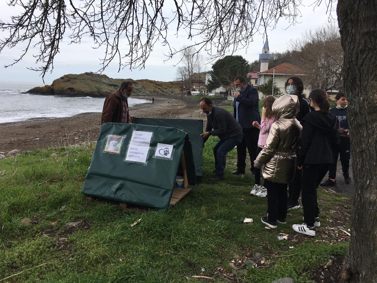 Fatsalı öğrencilerden sokak hayvanlarına kulübe desteği