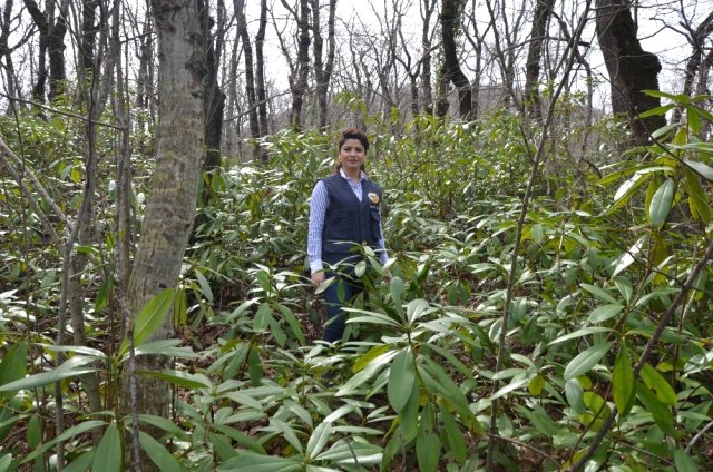 Dolunay mesire alanı benzersiz turizm alanına sahip olacak