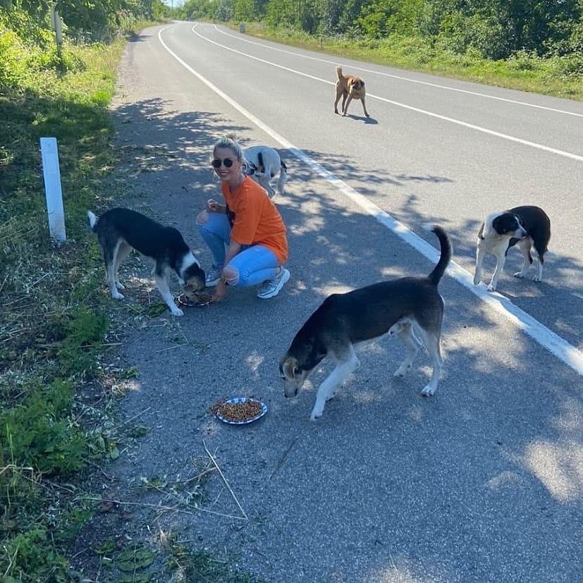 Pandemi candostlara olan ilgiyi arttırdı