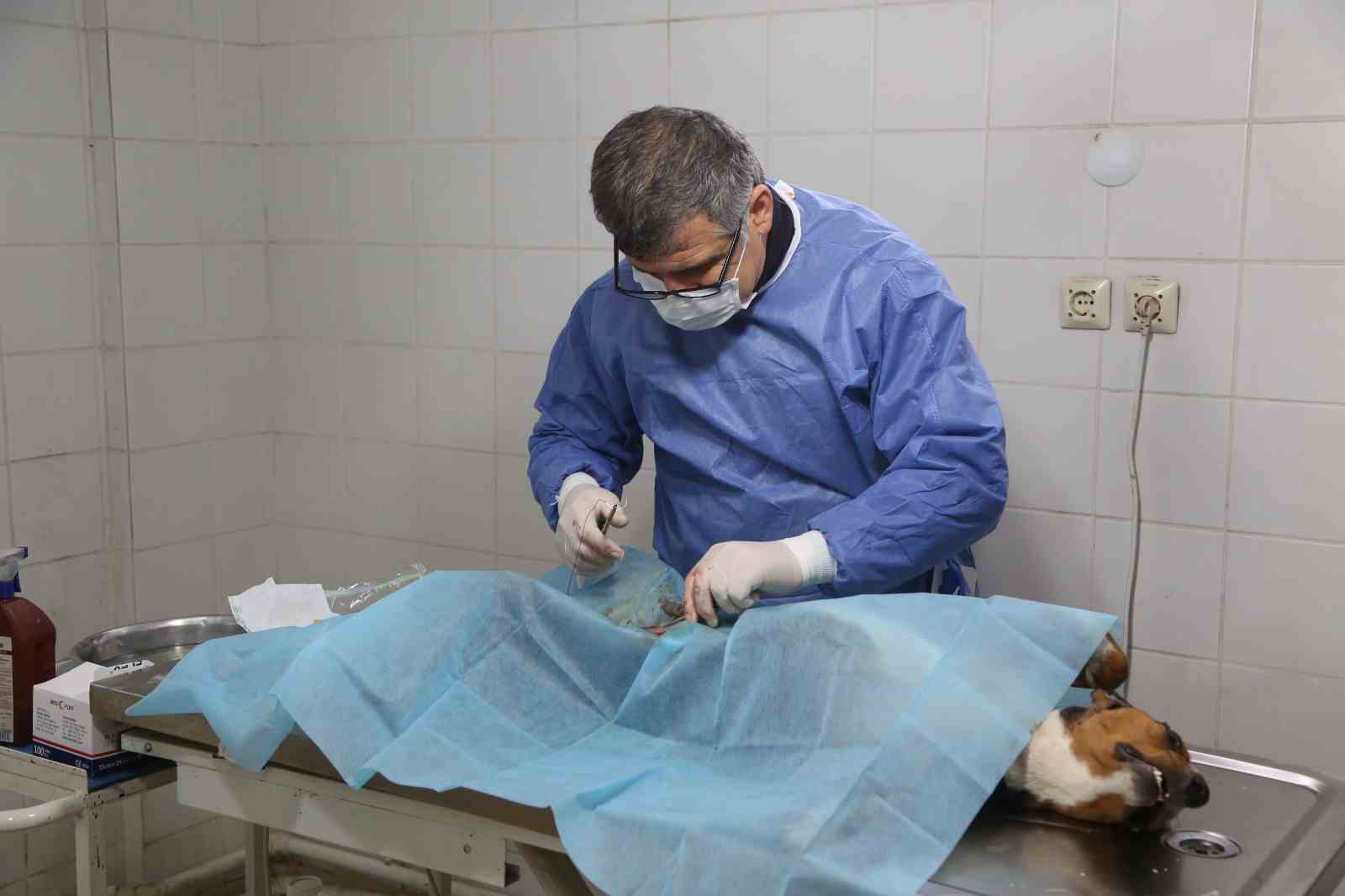 HAYVAN HASTANESİ CAN DOSTLARIN SIĞINAĞI OLDU 