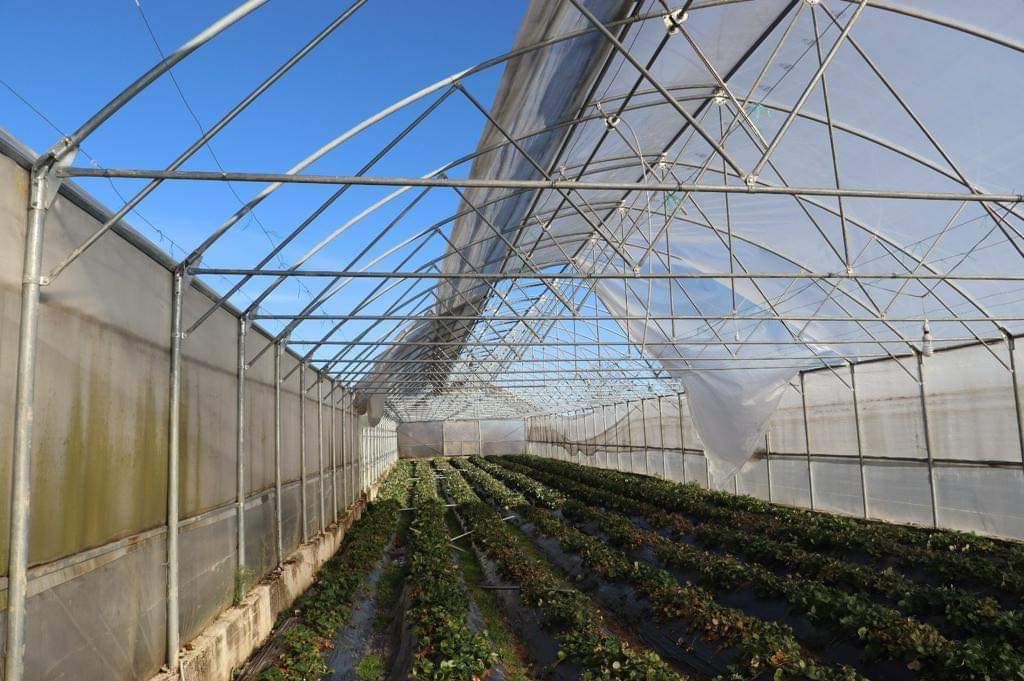 BÜYÜKŞEHİR ÜRETİCİNİN YANINDA