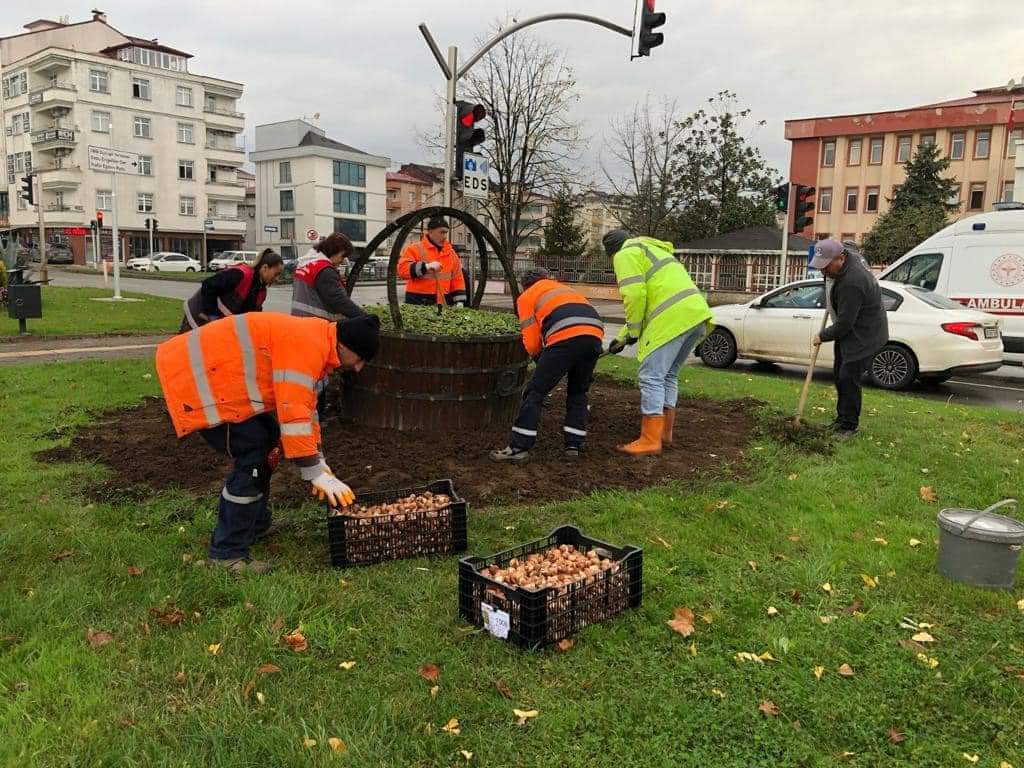 MEVSİMLİK ÇİÇEKLER TOPRAKLA BULUŞUYOR