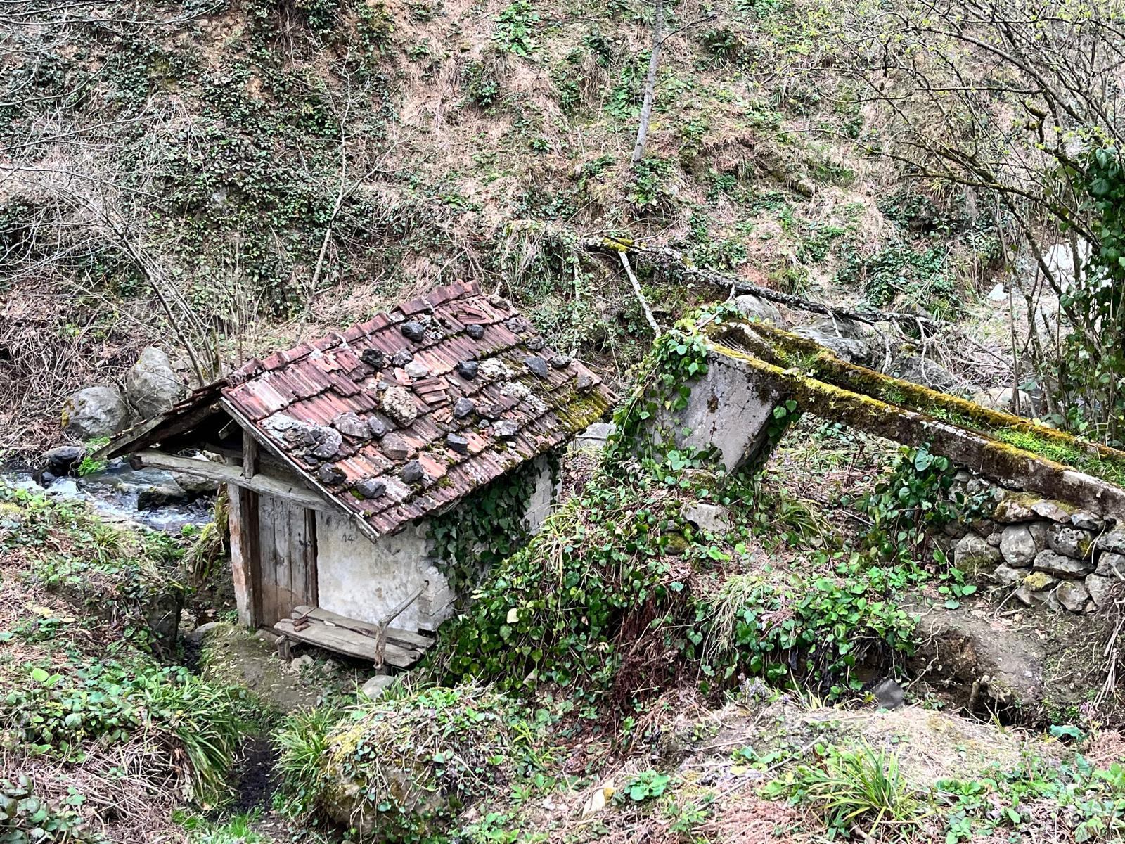 Karadeniz’in Kalbinde Yaşayan Tarih: Ordu Çamarası Köyü’ndeki Tarihi Su Değirmeni Zamana Direniyor