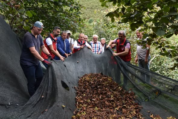 Fındık hasat filesi desteğinden yararlandı